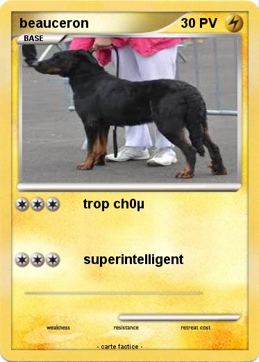 Pokemon beauceron