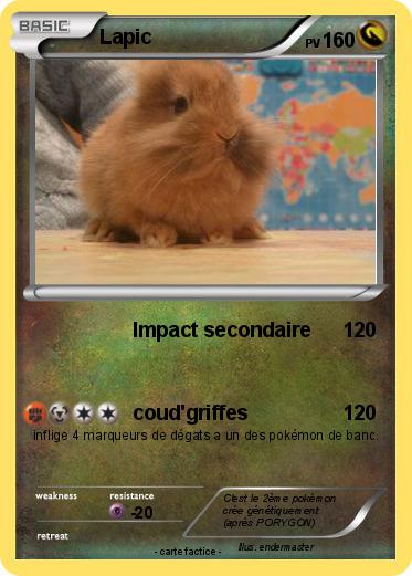 Pokemon Lapic