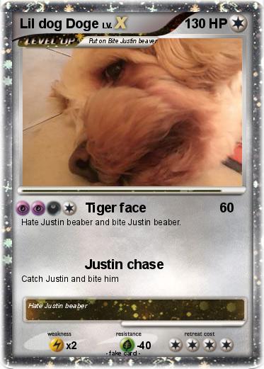 Pokemon Lil dog Doge