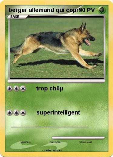 Pokemon berger allemand qui coµrs