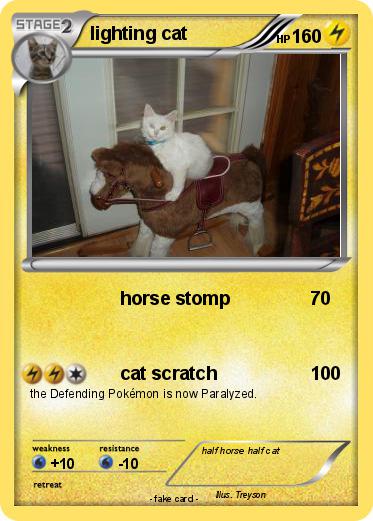 Pokemon lighting cat