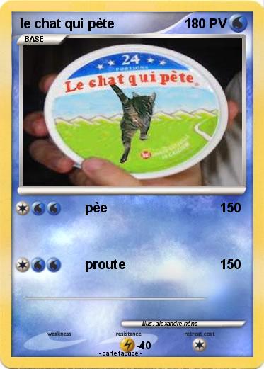 Pokemon le chat qui pète