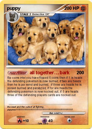 Pokemon puppy
