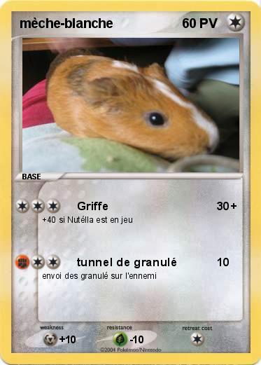 Pokemon mèche-blanche