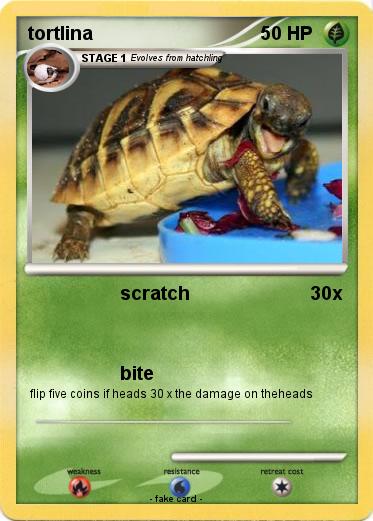 Pokemon tortlina