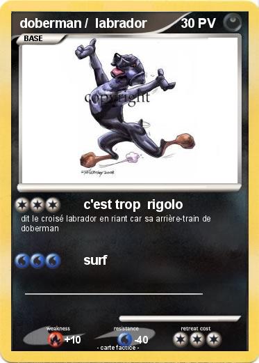 Pokemon doberman /  labrador