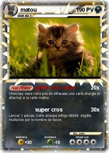 Pokemon matou
