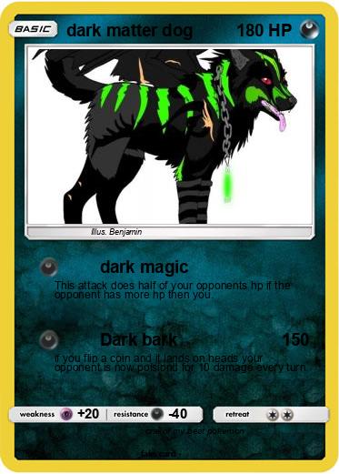 Pokemon dark matter dog