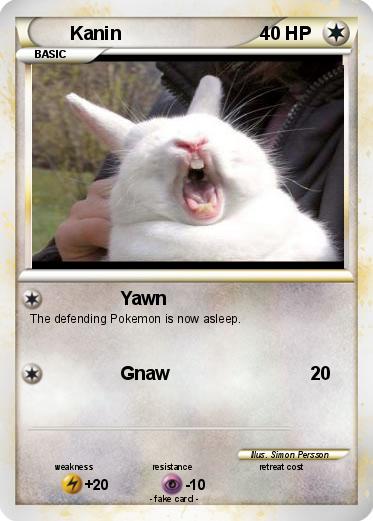 Pokemon Kanin