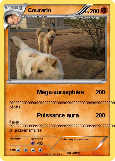 Pokemon Courario