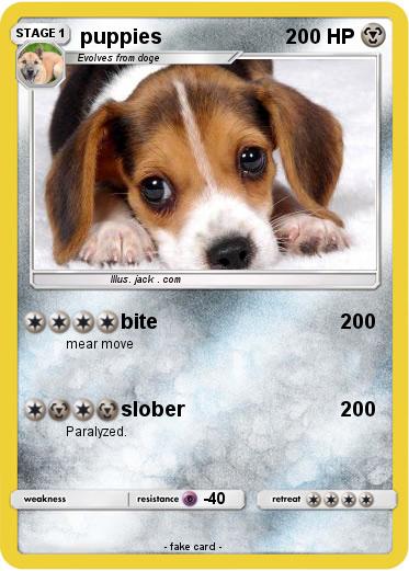 Pokemon puppies