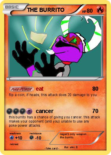 Pokemon THE BURRITO