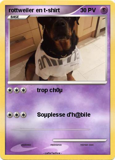 Pokemon rottweiler en t-shirt