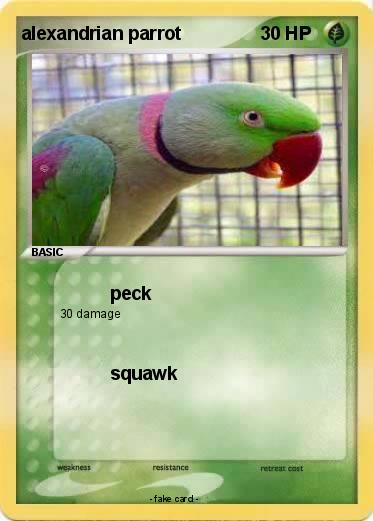Pokemon alexandrian parrot