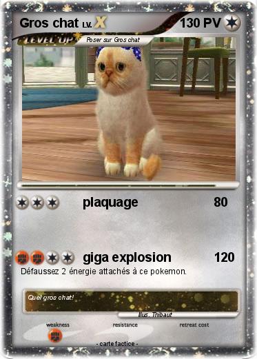 Pokemon Gros chat