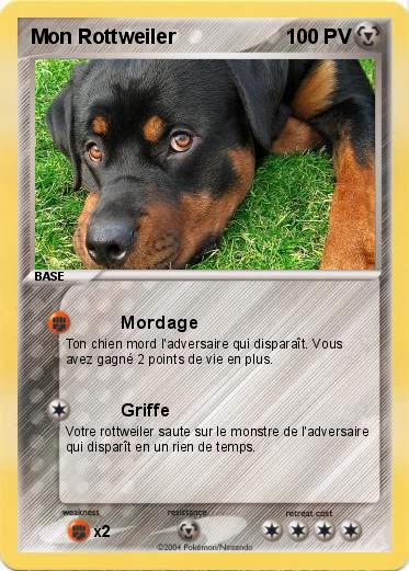 Pokemon Mon Rottweiler