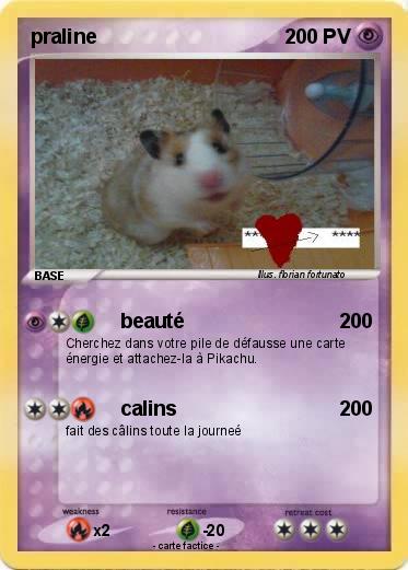 Pokemon praline