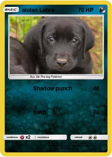 Pokemon alolan Labra