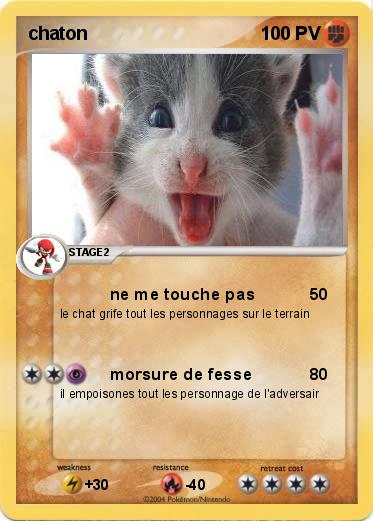 Pokemon chaton