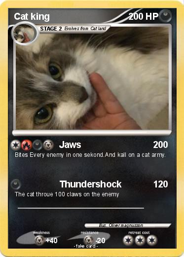Pokemon Cat king