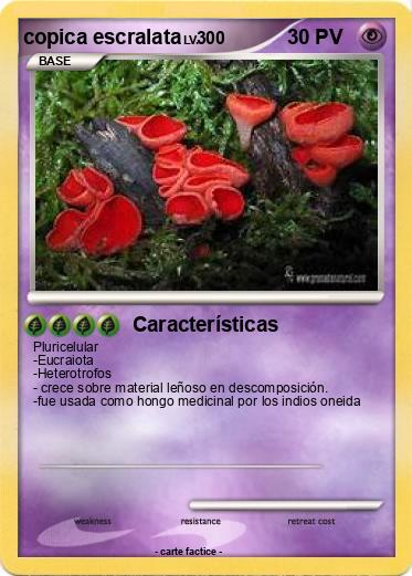 Pokemon copica escralata