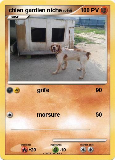 Pokemon chien gardien niche
