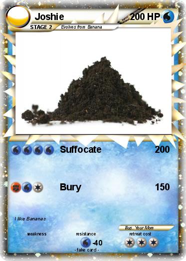 Pokemon Joshie