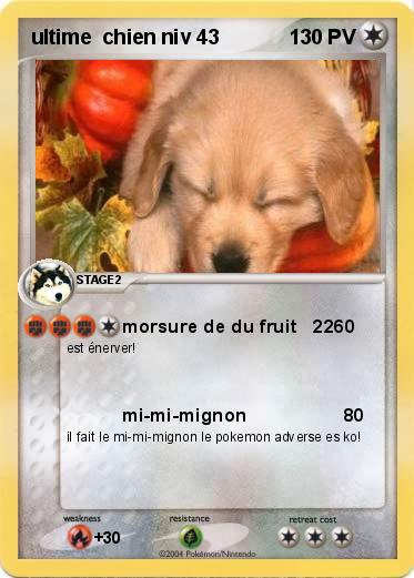 Pokemon ultime  chien niv 43