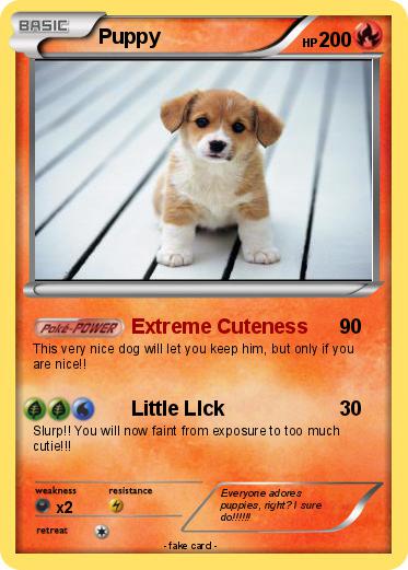Pokemon Puppy