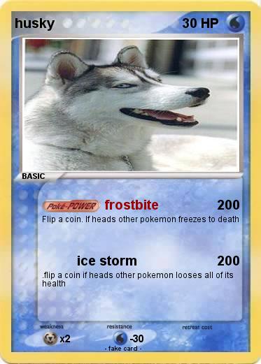 Pokemon husky