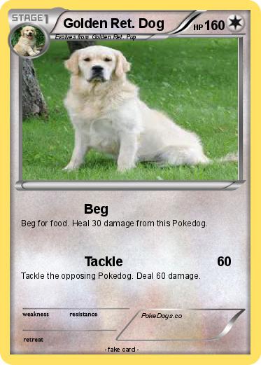 Pokemon Golden Ret. Dog