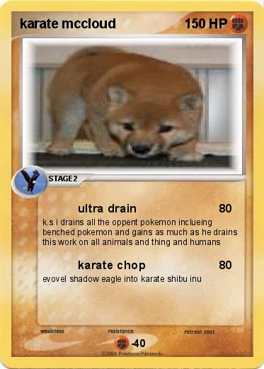 Pokemon karate mccloud