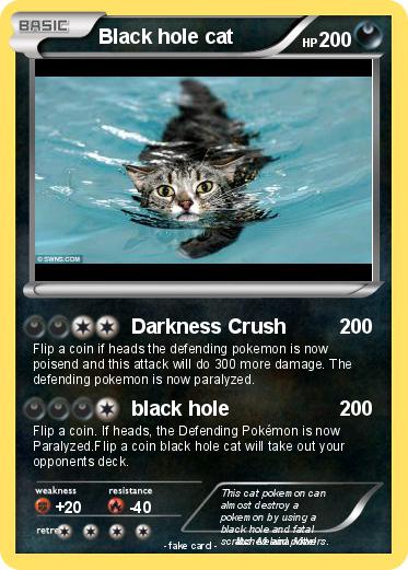 Pokemon Black hole cat