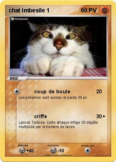 Pokemon chat imbesile 1