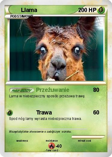 Pokemon Llama