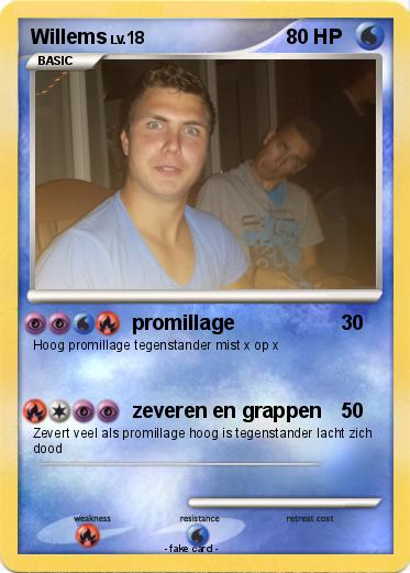 Pokemon Willems