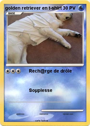 Pokemon golden retriever en t-shirt