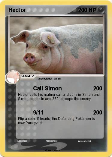 Pokemon Hector