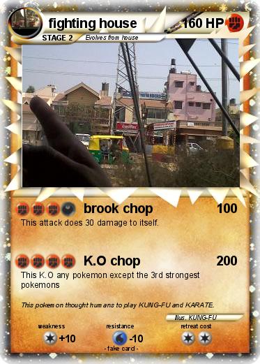 Pokemon fighting house