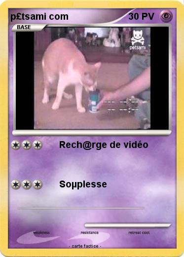 Pokemon p£tsami com