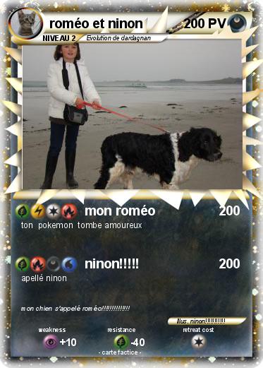 Pokemon roméo et ninon