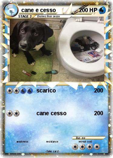 Pokemon cane e cesso