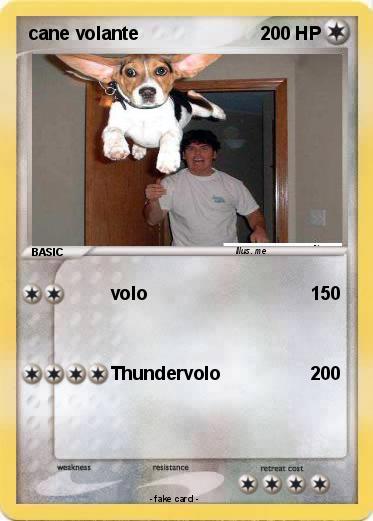 Pokemon cane volante