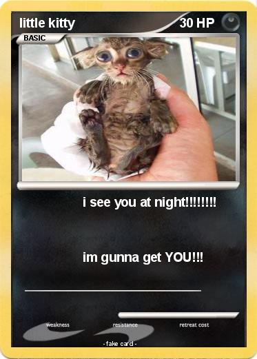 Pokemon little kitty