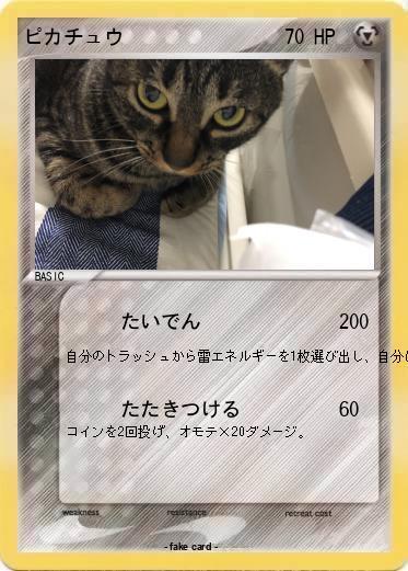 Pokemon ピカチュウ