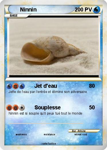 Pokemon Ninnin