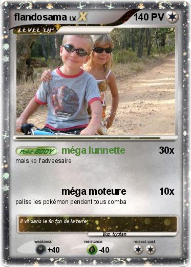 Pokemon flandosama