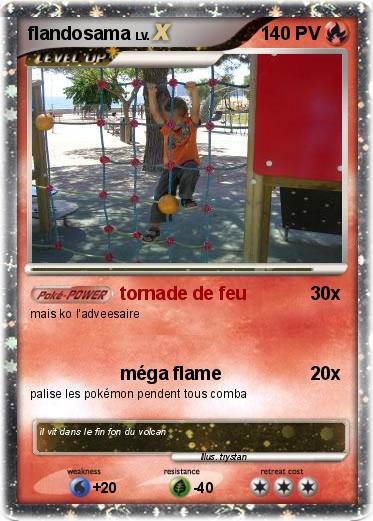 Pokemon flandosama