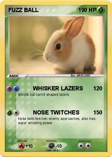 Pokemon FUZZ BALL