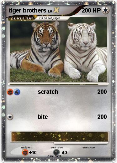 Pokemon tiger brothers